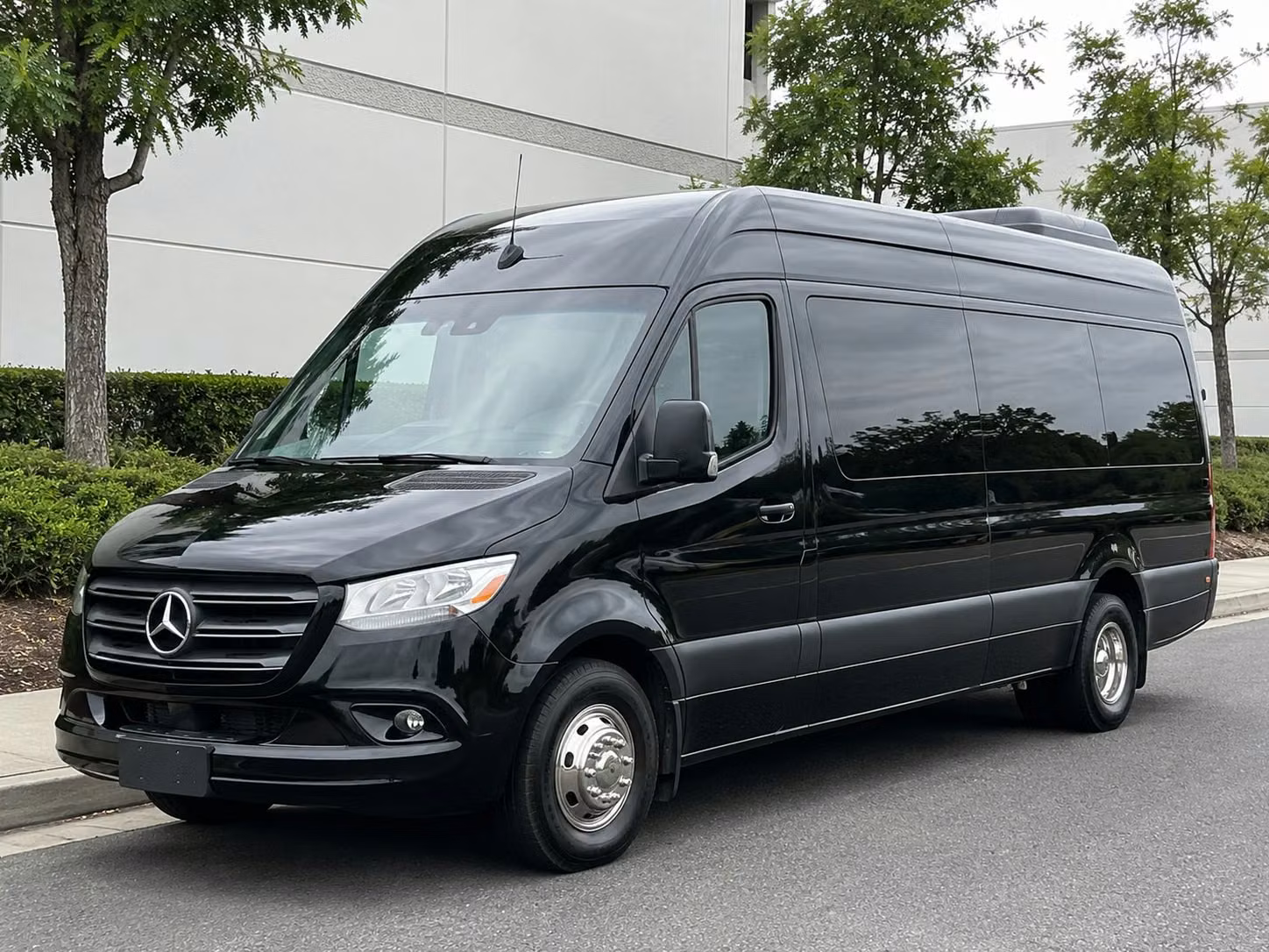elizabeth sprinter van rental with driver